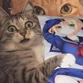 wasleepyhead 的头像