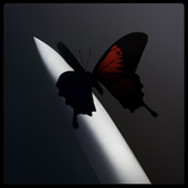 Avatar for bambi_presley1