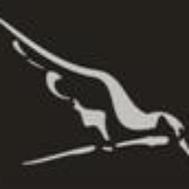 LastFM profile picture for @consult