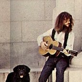D&dog