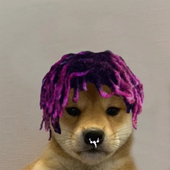 EeshanSharrma 的头像