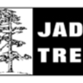 Jade_Tree 的头像