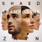 SHAED & ZAYN - Trampoline official cover art