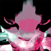 EliseTheCat 的头像