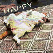 HAPPY