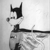 patrulheiro patrulhando