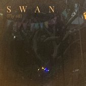 Swan (Fly off) - Single