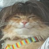 ChonksFM 的头像