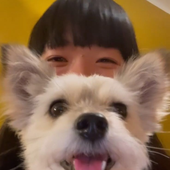 moneyshawn 的头像