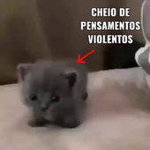 rafaele_com_e 的头像