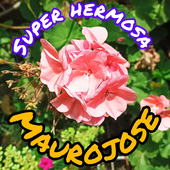 Avatar for AppleMaurojose