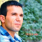 Diyar Amedî