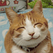 Avatar for CatNaps