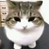 Charls_ 的头像