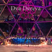 dva dereva.jpg