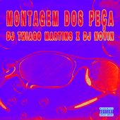 MONTAGEM DOS PEÇA