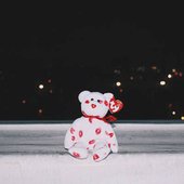 Beanie Baby