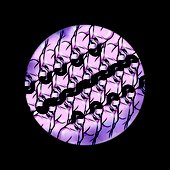 Blindnet