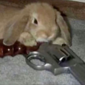 Avatar for bulletslover