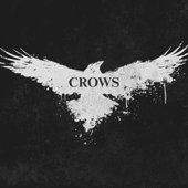 Crows - Single