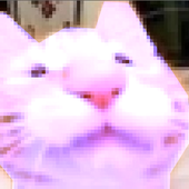 sockington40 的头像