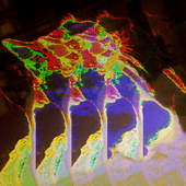 Avatar for aaadelnrrv