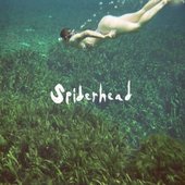 Spiderhead