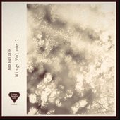 Wings, Vol. 1