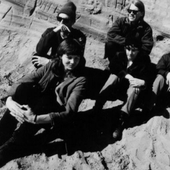 The Walkabouts