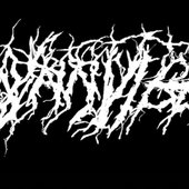 Hynnvigg logo