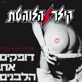 דופקים את הלבנים