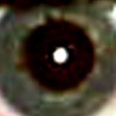 Avatar for stephraaa