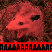 Avatar for TheOposstle