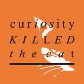 Curiosity Killed the Cat (Bootleg) (February 22, 2024)