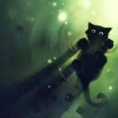 Avatar for blacktigerr