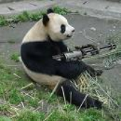 Avatar for pandafresh