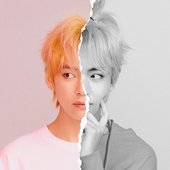 LOVE YOURSELF 結 'Answer' Concept Photo L version