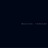 Walking Through The Galaxy