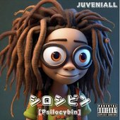 Psilocybin - Single