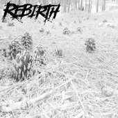 Rebirth