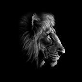 Avatar for TUpton