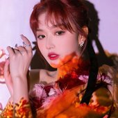 孔雪儿