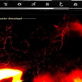 Cybernetic Overload