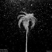 Terror Jr - Palm Trees In the Snow.jpg