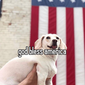 FOJgZM-UcAAtgZF.png