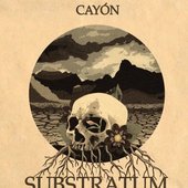 SUBSTRATUM