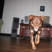 Kona