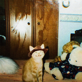 Снимок экрана 2025-07-01 110327.png