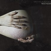 Witness
