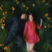 lana-del-rey-the-weeknd-lust-for-life-video-watch-1495463153.png